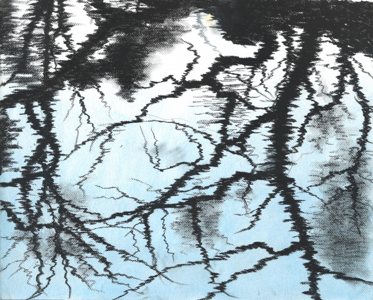 水:新宿御苑 2002.1.14